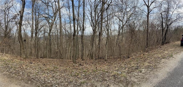 18 Hawk Dr, Holiday Island, AR 72631 - photo 21
