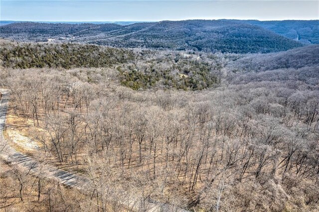 18 Hawk Dr, Holiday Island, AR 72631 - photo 8
