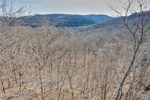 18 Hawk Dr, Holiday Island, AR 72631 - photo 9