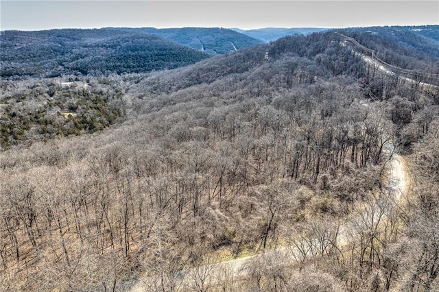 18 Hawk Dr, Holiday Island, AR 72631 - photo 12
