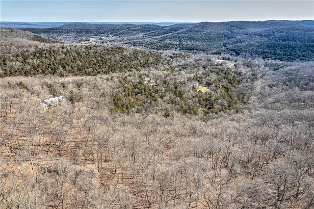 18 Hawk Dr, Holiday Island, AR 72631 - photo 13