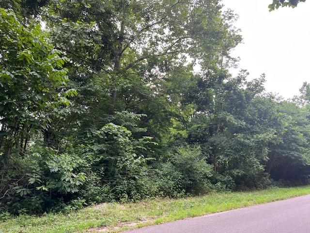 18 Hawk Dr, Holiday Island, AR 72631 - photo 5
