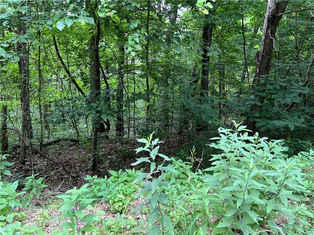 18 Hawk Dr, Holiday Island, AR 72631 - photo 3
