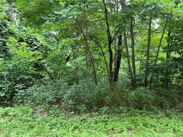 18 Hawk Dr, Holiday Island, AR 72631 - photo 1