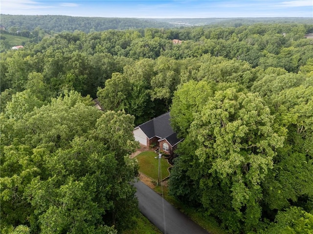 47 Cresswell Dr, Bella Vista, AR 72714 - photo 30