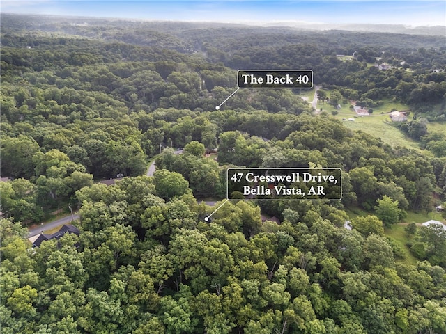 47 Cresswell Dr, Bella Vista, AR 72714 - photo 31