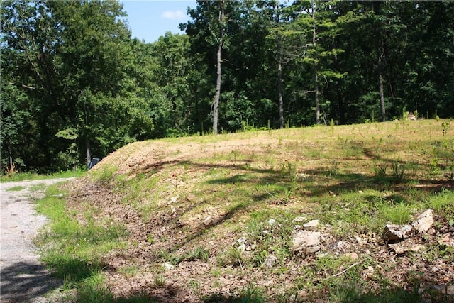 263 S S St, Midway, AR 72651 - photo 3