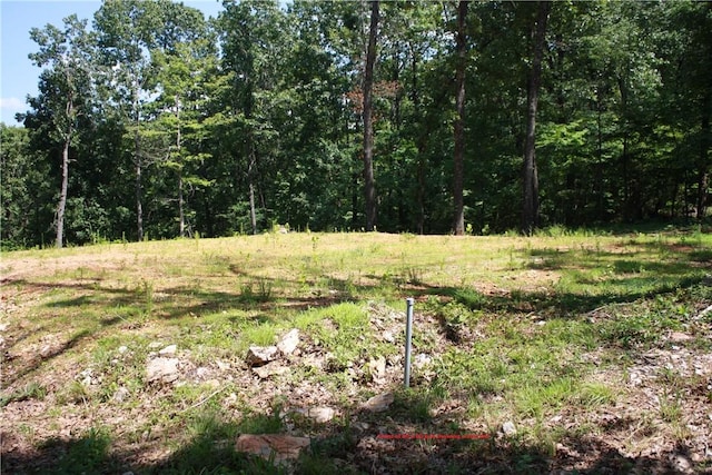 263 S S St, Midway, AR 72651 - photo 4