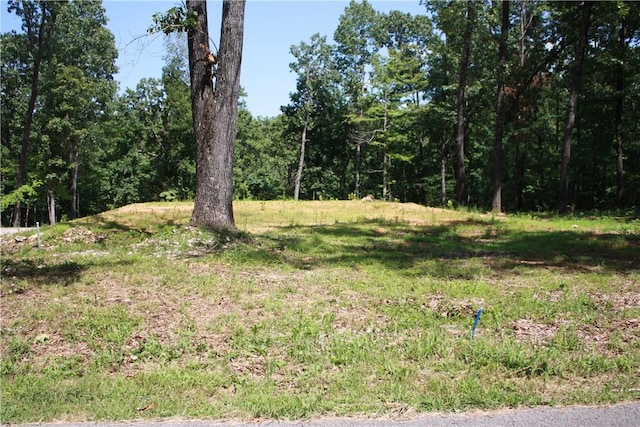 263 S S St, Midway, AR 72651 - photo 2