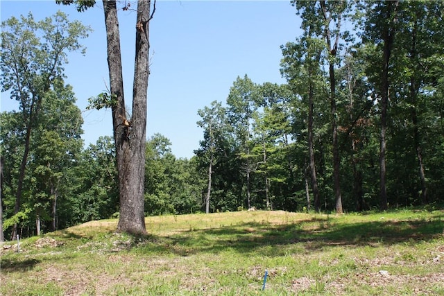 263 S S St, Midway, AR 72651 - photo 1