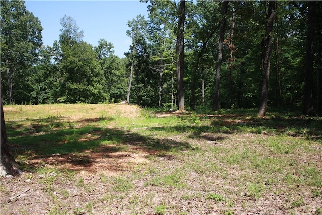263 S S St, Midway, AR 72651 - photo 5