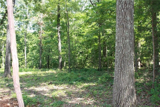 263 S S St, Midway, AR 72651 - photo 6