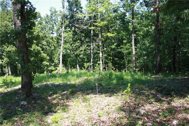 263 S S St, Midway, AR 72651 - photo 7