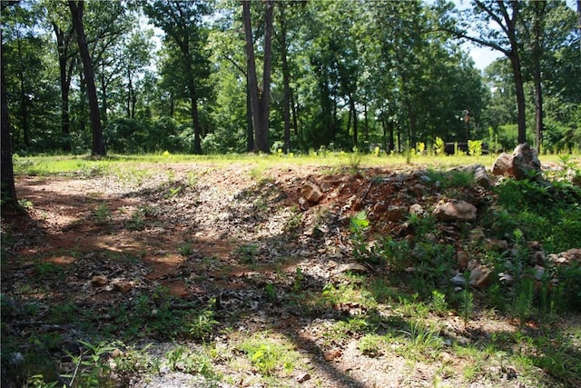 263 S S St, Midway, AR 72651 - photo 8