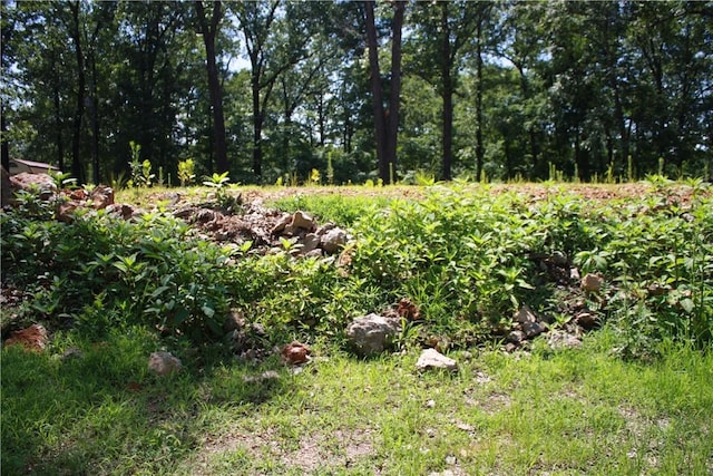 263 S S St, Midway, AR 72651 - photo 10