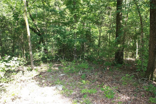 263 S S St, Midway, AR 72651 - photo 11