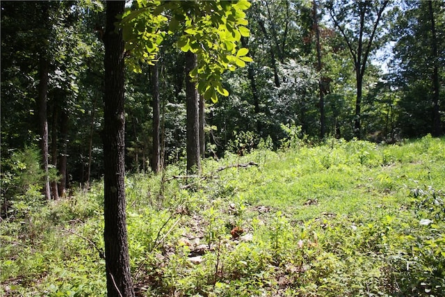 263 S S St, Midway, AR 72651 - photo 12