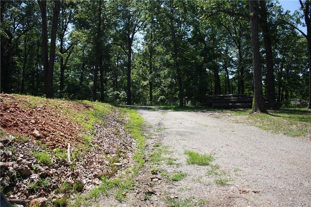 263 S S St, Midway, AR 72651 - photo 13