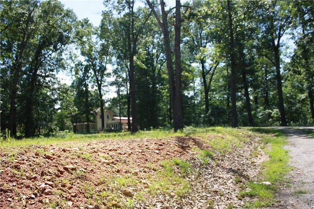 263 S S St, Midway, AR 72651 - photo 14