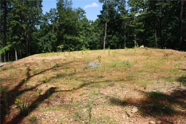 263 S S St, Midway, AR 72651 - photo 15