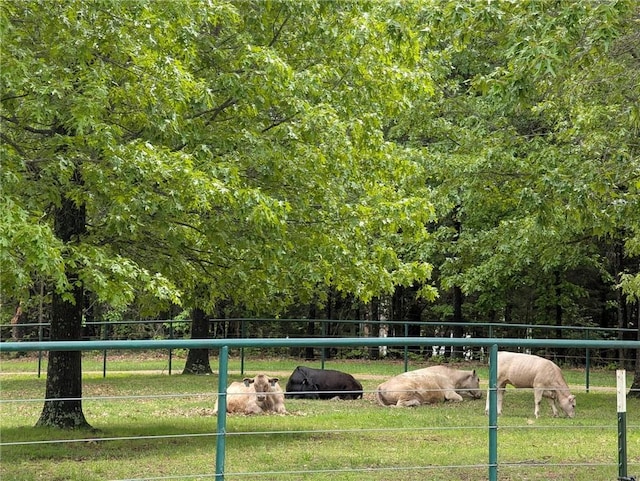 1445 Woodhaven Ln, Harrison, AR 72601 - view of home's community featuring a rural view