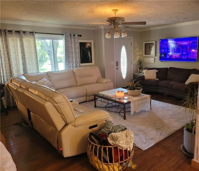 400 Franklin St, Harrison, AR 72601 - living area with wood finished floors, ceiling fan, a textured ceiling, and crown molding