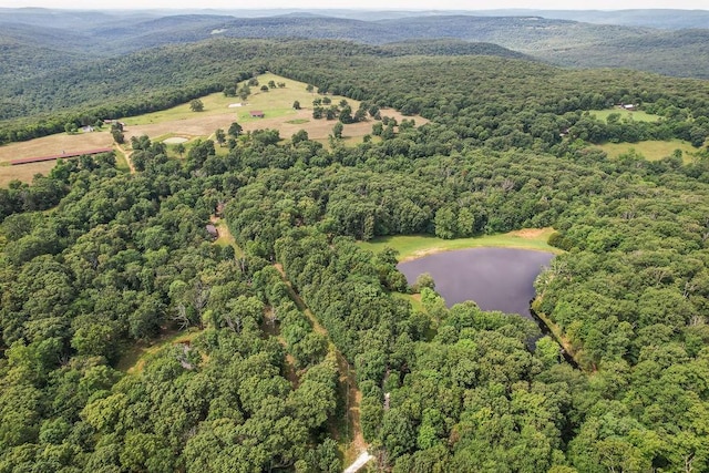 21035 Carter Rd, West Fork, AR 72774 - photo 5