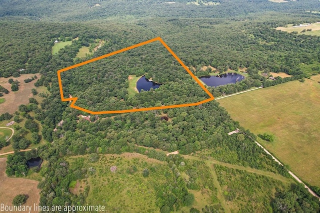 21035 Carter Rd, West Fork, AR 72774 - photo 6