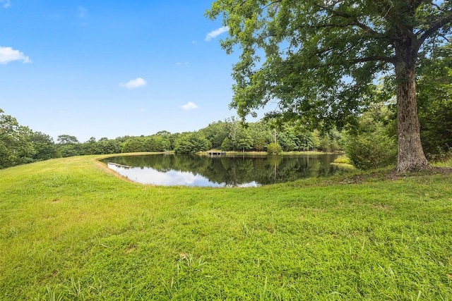 21035 Carter Rd, West Fork, AR 72774 - photo 15