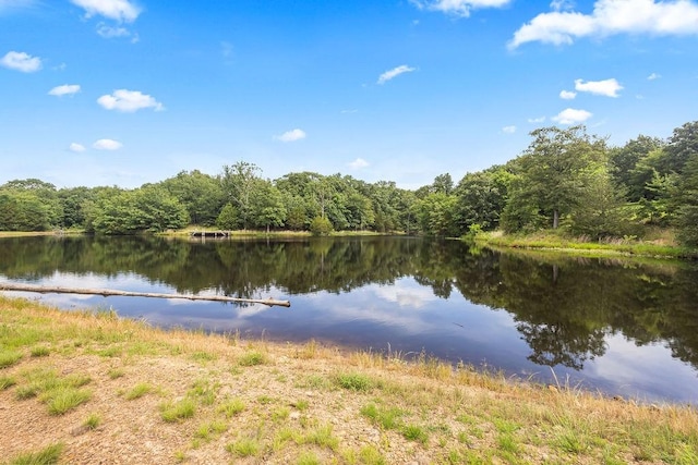 21035 Carter Rd, West Fork, AR 72774 - photo 16