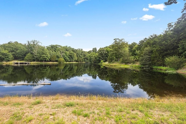 21035 Carter Rd, West Fork, AR 72774 - photo 17