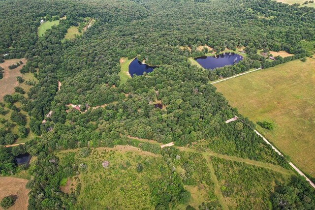 21035 Carter Rd, West Fork, AR 72774 - photo 21