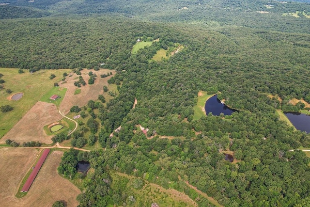 21035 Carter Rd, West Fork, AR 72774 - photo 22