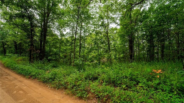 3700 Madison, Pettigrew, AR 72752 - photo 3