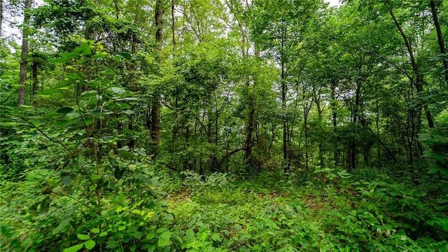 3700 Madison, Pettigrew, AR 72752 - photo 4