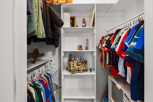 1200 Birkshire Cir, Cave Springs, AR 72718 - view of spacious closet