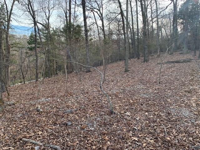 8119 Beaver Shores Rd, Rogers, AR 72756