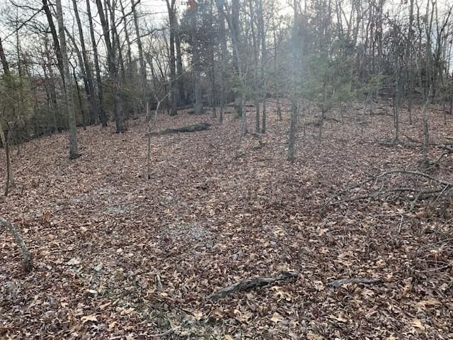8119 Beaver Shores Rd, Rogers, AR 72756