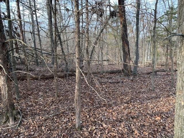 8119 Beaver Shores Rd, Rogers, AR 72756