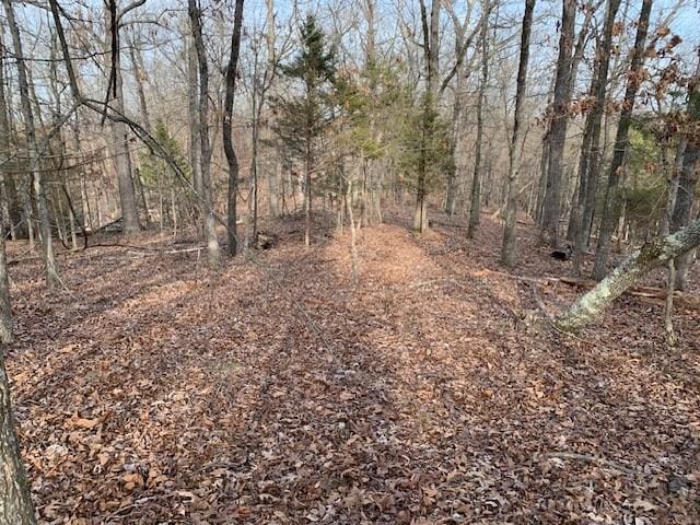 8119 Beaver Shores Rd, Rogers, AR 72756