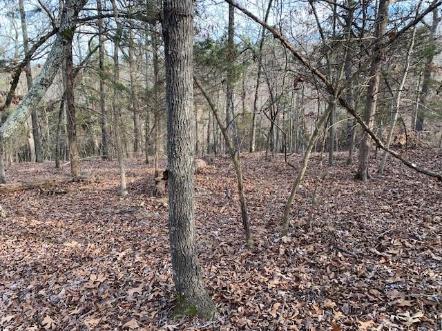 8119 Beaver Shores Rd, Rogers, AR 72756
