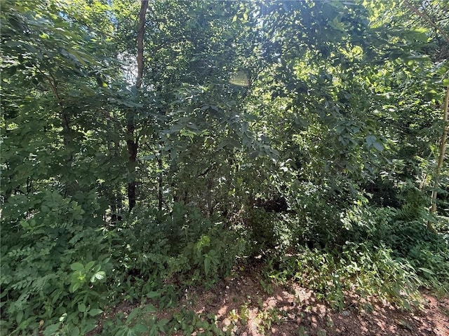3.54ACTBD Bethel Rd, Gravette, AR 72736 - photo 1
