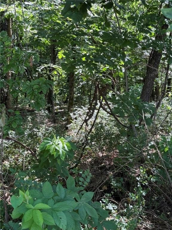 3.54ACTBD Bethel Rd, Gravette, AR 72736 - photo 3