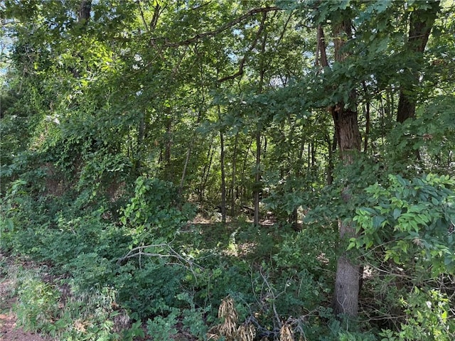 3.54ACTBD Bethel Rd, Gravette, AR 72736 - photo 6