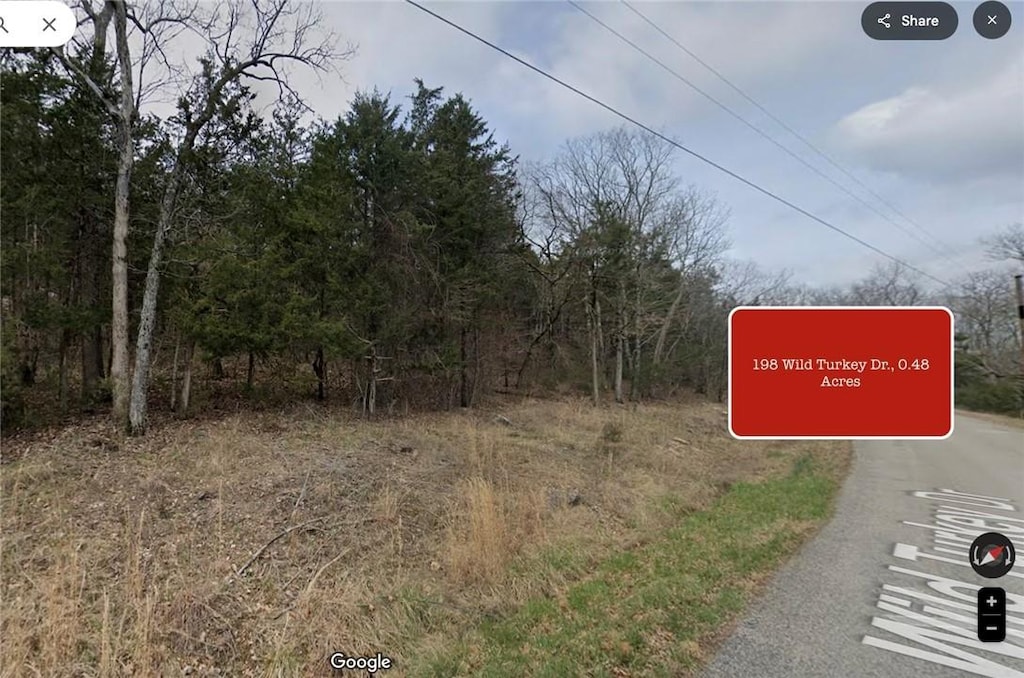 198 Wild Turkey Dr, Holiday Island, AR 72631 - photo 1
