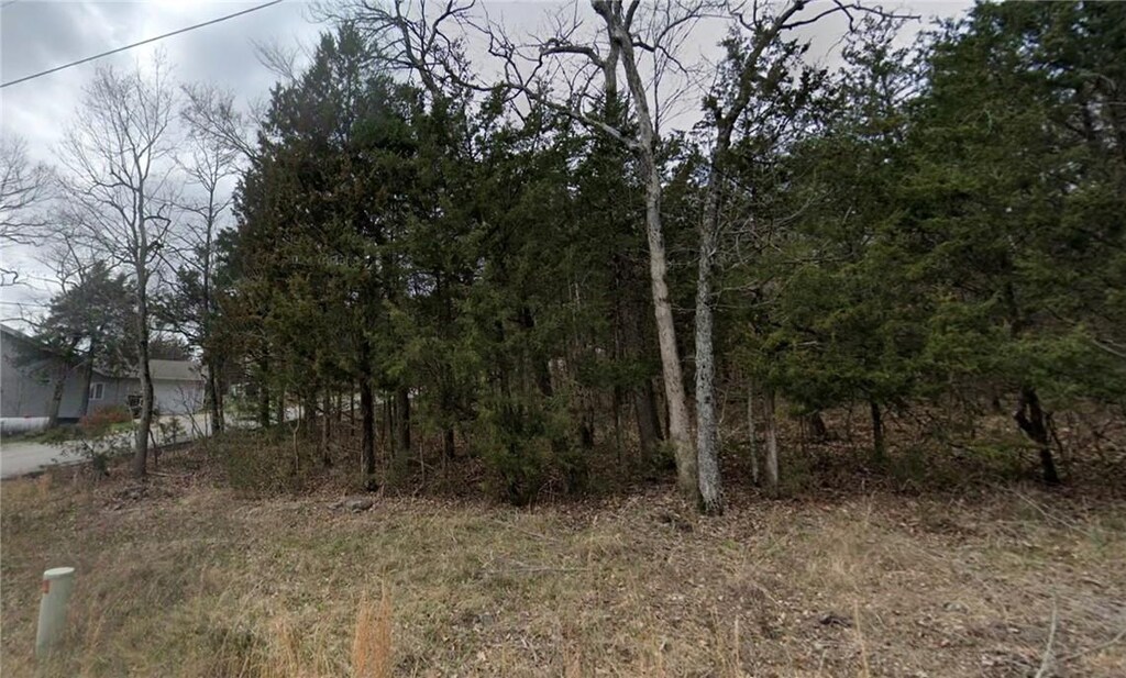 198 Wild Turkey Dr, Holiday Island, AR 72631 - photo 2