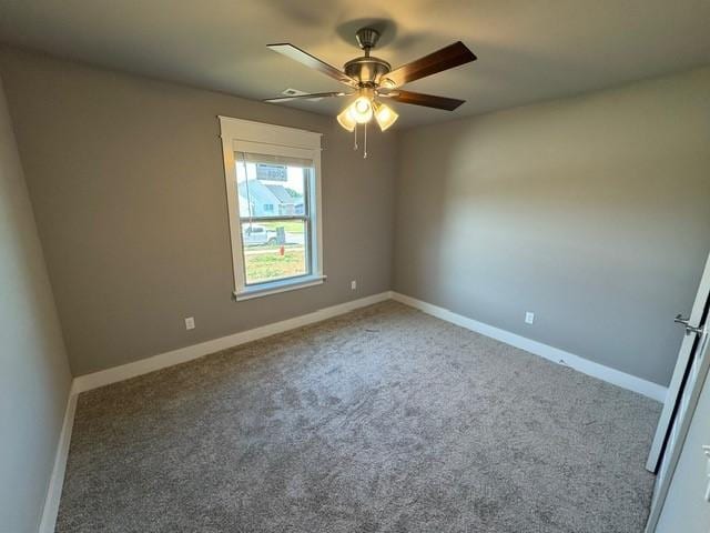912 Round Top St, Prairie Grove, AR 72753 - photo 12