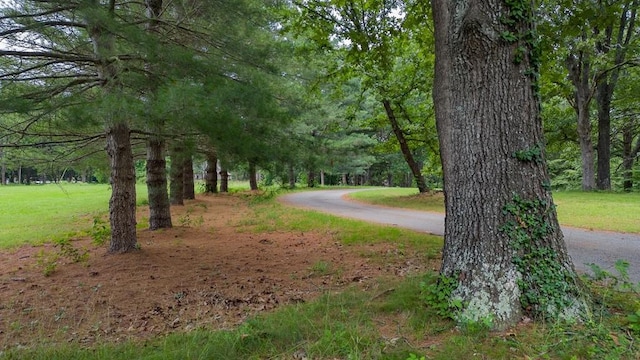2 Meriwether Pond, Harrison, AR 72601