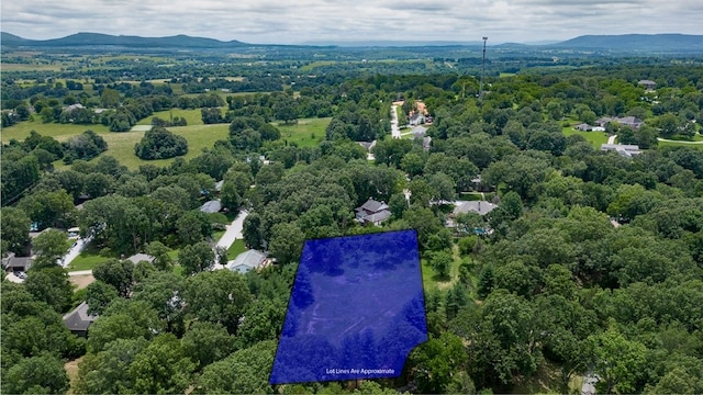 2 Meriwether Pond, Harrison, AR 72601