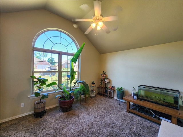 3508 W Lonoke Dr, Fayetteville, AR 72704 - photo 13